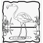 Раскраска фламинго в болоте