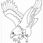 Раскраска орел для детей