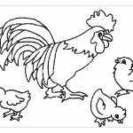 Раскраска петух и цыплята