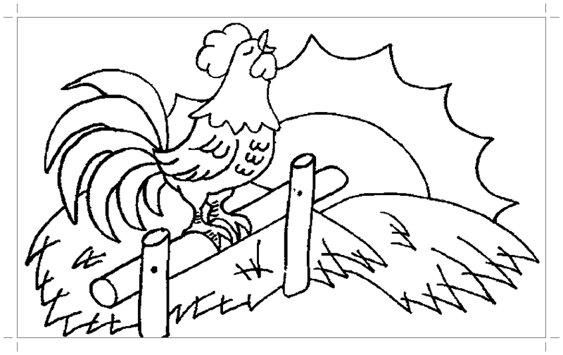 Раскраска петух на заборе — Все для детского сада
