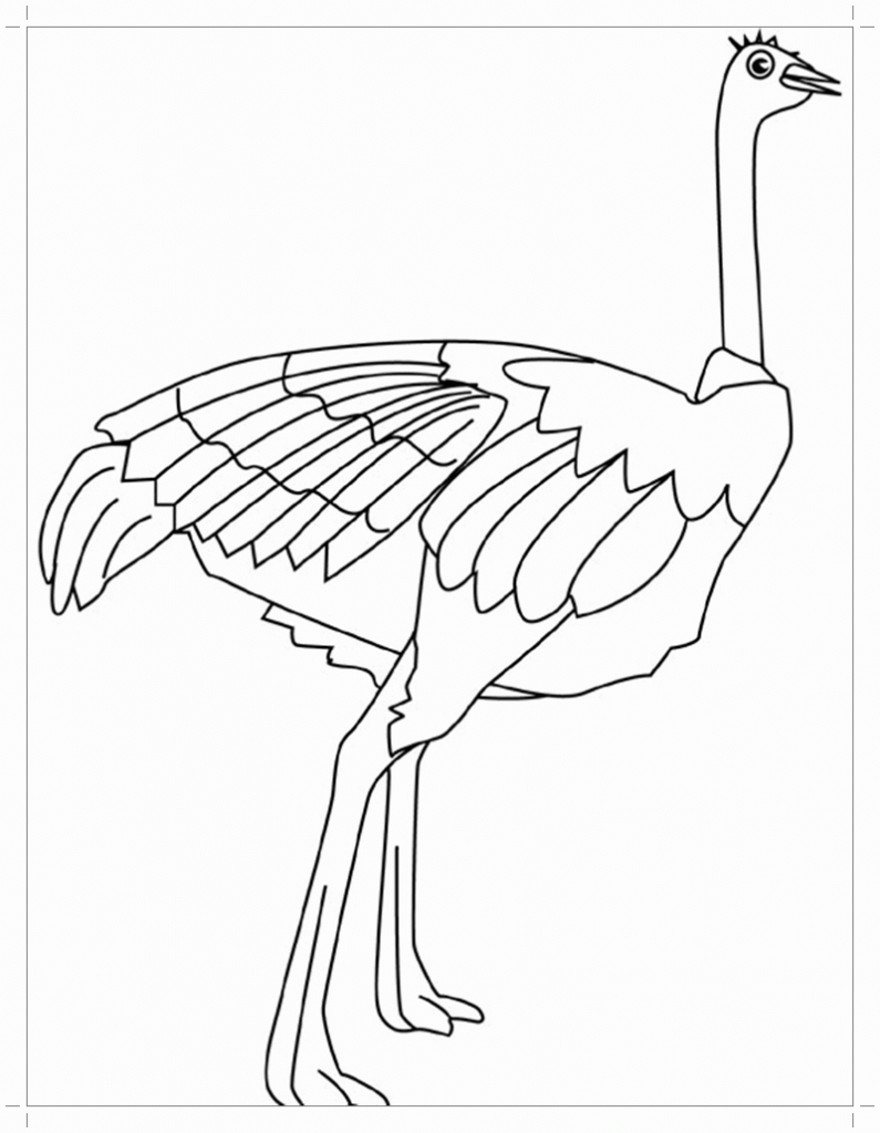 Раскраска самка страуса