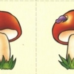 Карточки с грибом и червячком для ДОУ