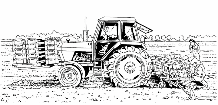 Трактор и сеялка
