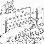 Свинья и поросята на ферме