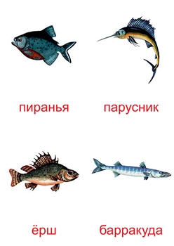 Все Названия Рыб И Фото