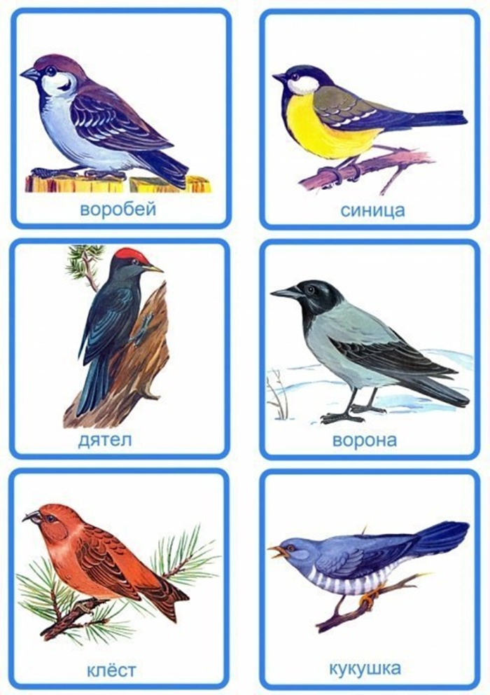 Разрезные картинки перелетные птицы для дошкольников