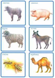 Карточки: овечка, свинья, баран, ослик, пчелы, верблюд