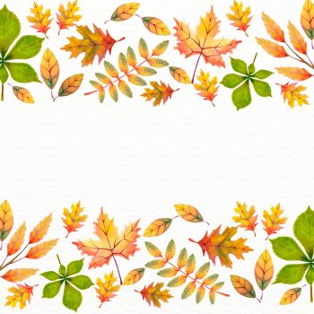 Фон с листьями сверху и снизу для презентации осень