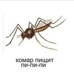 Как говорит комар
