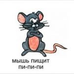 Как говорит мышь