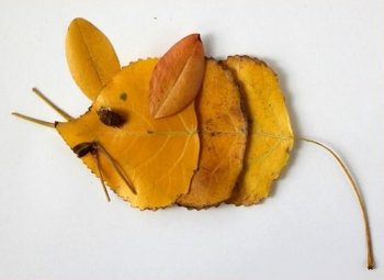 Изготовление простой аппликации мышка из желтых листьев