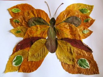 Изготовление аппликации бабочка из осенних листьев
