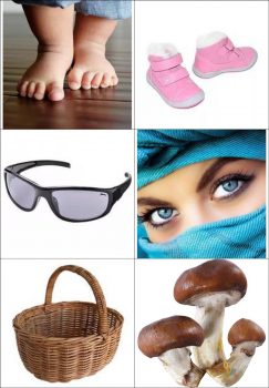 Ассоциации очки, кроссовки и грибы