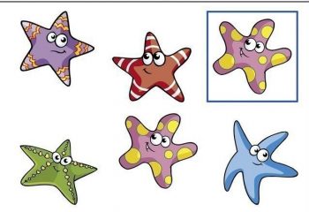 Карточка с морскими звездочками для игры на развитие внимания в детский сад