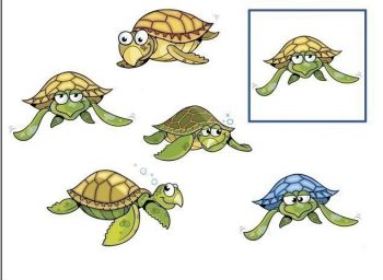 Карточка с черепахами для игры на развитие внимания в детский сад