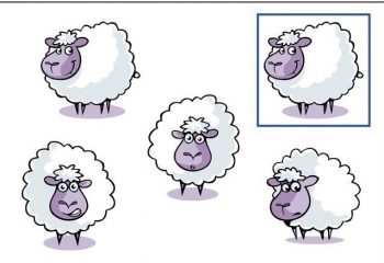 Карточка с овечками для игры на развитие внимания в детский сад