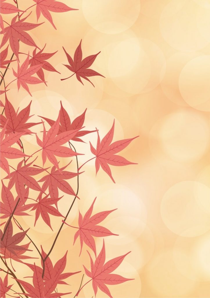 Фрагмент 3 нежного фона осень с маленькими сухими листьями сбоку