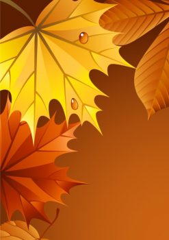 Фрагмент 1 темного фона "Осень" с сухими листьями по периметру