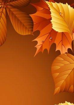 Фрагмент 2 темного фона "Осень" с сухими листьями по периметру