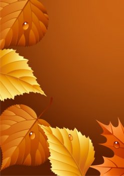 Фрагмент 3 темного фона "Осень" с сухими листьями по периметру