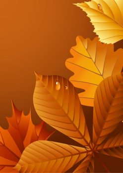 Фрагмент 4 темного фона "Осень" с сухими листьями по периметру
