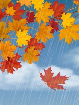 Фрагмент 1 фона "Осень" для детей с падающими листьями и дождем