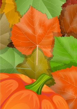 Фрагмент 1 фона "Осень" для детей с тыквами и цветными листочками