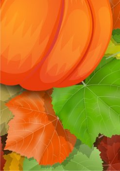 Фрагмент 3 фона "Осень" для детей с тыквами и цветными листочками