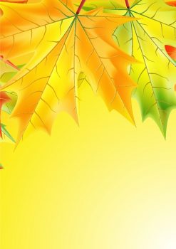 Фрагмент 1 желтого фона "Осень" с сухими листочками