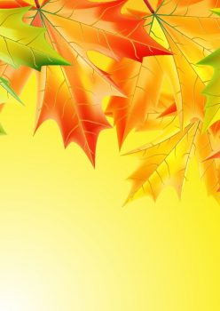 Фрагмент 2 желтого фона "Осень" с сухими листочками
