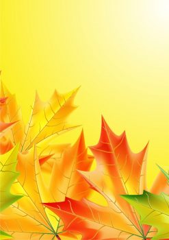 Фрагмент 3 желтого фона "Осень" с сухими листочками