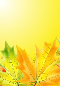 Фрагмент 4 желтого фона "Осень" с сухими листочками