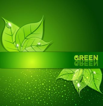 Зеленый фон с отражением