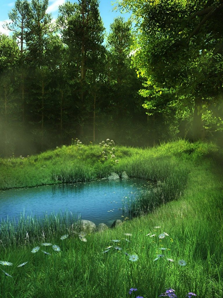 Красивая иллюстрация леса у пруда