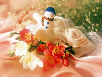 Снеговик и цветы