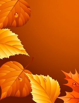 Фрагмент 3 фона для плаката осень на оранжевом фоне