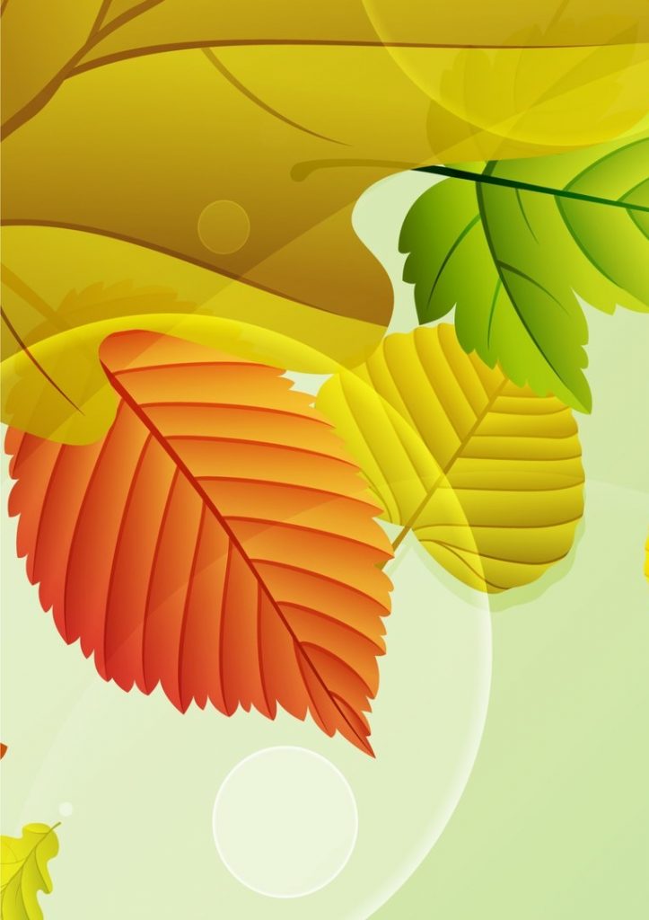 Фрагмент 1 зеленого фона для плаката золотая осень
