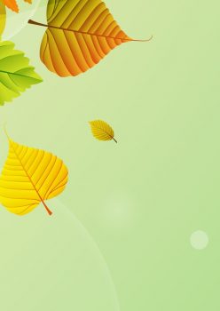 Фрагмент 2 зеленого фона для плаката золотая осень