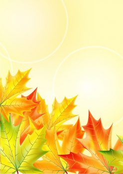 Фрагмент 3 фона с листьями каштана для плаката золотая осень