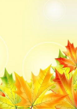Фрагмент 4 фона с листьями каштана для плаката золотая осень