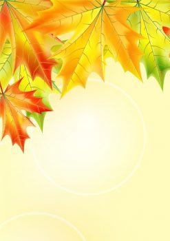 Фрагмент1 фона-рамки с листьями для плаката золотая осень