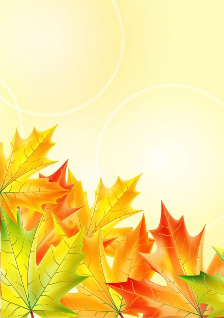 Фрагмент 3 фона-рамки с листьями для плаката золотая осень
