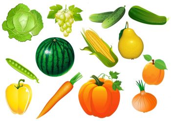 Овощи и фрукты 1 для игры "Собери урожай"