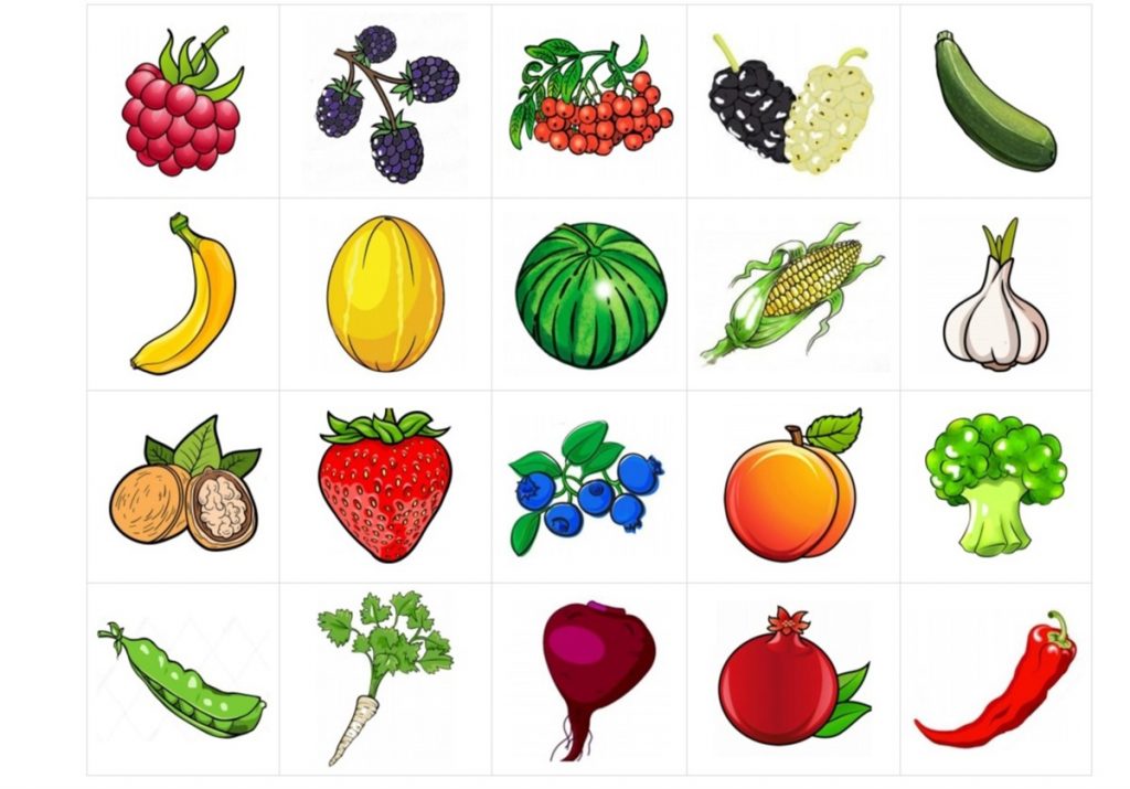 Фрукты, овощи и ягоды для игры "Что где растет" 1