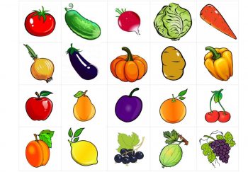 Фрукты, овощи и ягоды для игры "Что где растет" 2