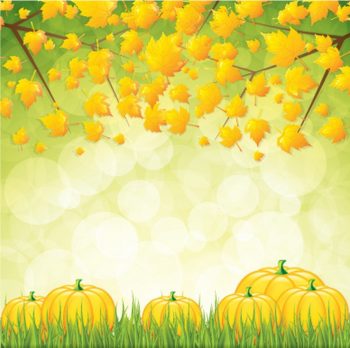 Осенняя картинка для оформления с желтыми листьями и тыквами