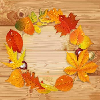 Осенний шаблон для поздравлений с фоном под дерево