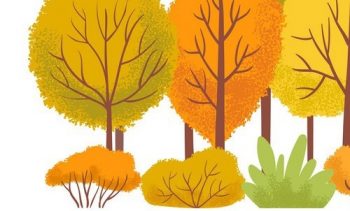 3 фрагмент плаката на тему осень с нарисованным лесом
