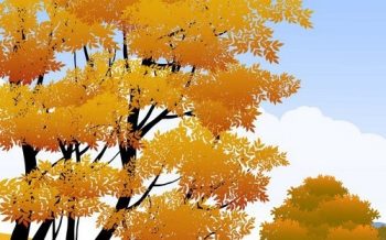 Фрагмент 1 плаката "Деревья у речки осенью"