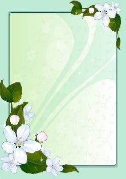 Зеленая рамка с белыми цветами